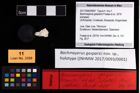 Foto (Objekt + Etikett) von Bachmayerus gasparici (Fraaije et al., 2019)  (NHMW-GEO-2017-0093-0001)